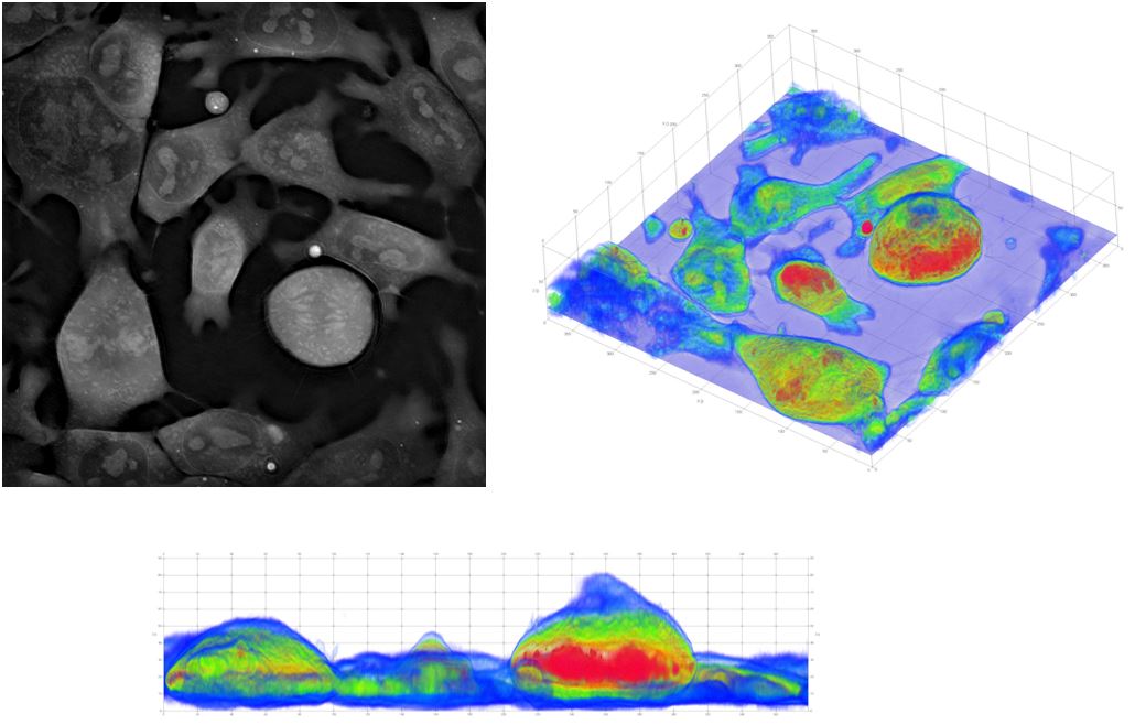 NANOLIVE 3D Cell Explorer – Image Solutions – Imsol
