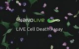 Life Cell Death Assay_